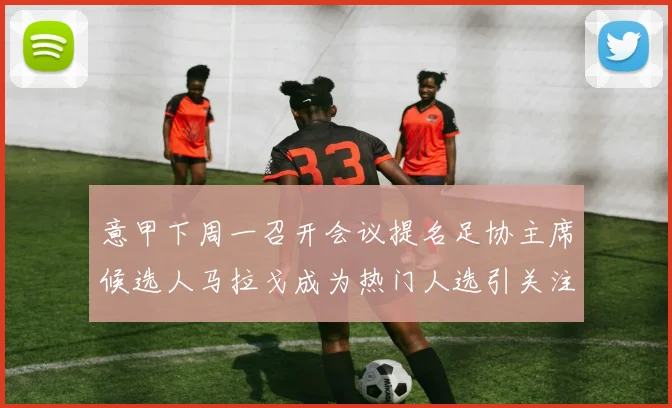 意甲下周一召开会议提名足协主席候选人马拉戈成为热门人选引关注